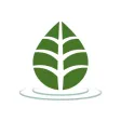 Jordan Central